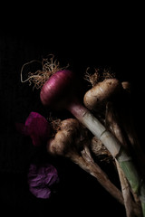 Garlic and onion bunch