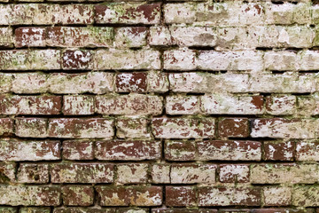 Red White Wall Background. Old Grungy Brick Wall Horizontal Texture. Brickwall Backdrop. Stonewall Wallpaper. Vintage Wall With Peeled Plaster. Retro Grunge Wall. Brick Wall With White Uneven Stucco