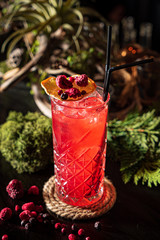 tasty cocktail in the bar