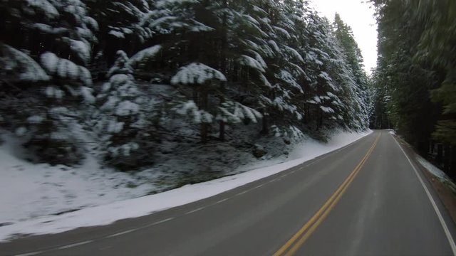 Driving Rural Mountain Road with Fresh Winter Snow on Forest Trees