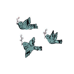 Three birds fly holding willow branches in their beaks.