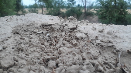 Soil