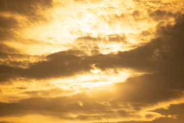 This all photos is clicked by digital camera or its natural photos not edited in any application.
all photos is clicked in evening after rain stop.