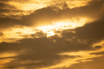 This all photos is clicked by digital camera or its natural photos not edited in any application.
all photos is clicked in evening after rain stop.