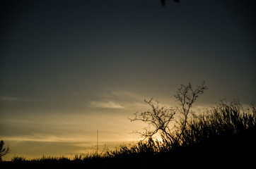 Atardecer..