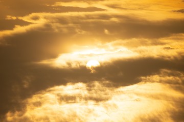 Obraz premium This all photos is clicked by digital camera or its natural photos not edited in any application. all photos is clicked in evening after rain stop.