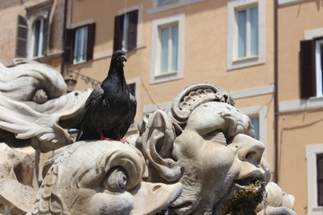 fountain of neptune in florence italy