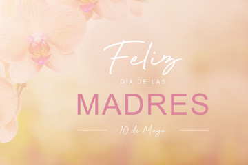 Feliz Día de las Madres 10 de Mayo