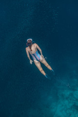 Young female in a sexy swimwear dives into a massive school of sardines using long diving fins. Moalboa, Cebu, Philippines.