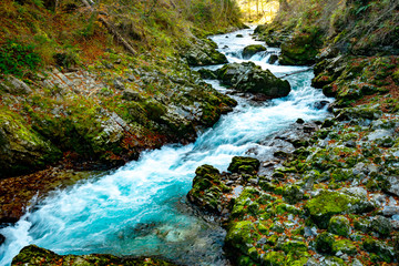autumn and the mountain river visited on a sunny day