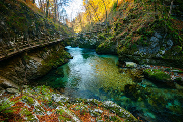 Fototapeta na wymiar the river in the mountain forest at the end of autumn