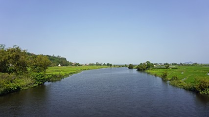 Fototapeta na wymiar large rice fields around hue