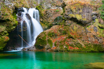 Fototapeta na wymiar fallen tree trunk in the green lake and waterfall
