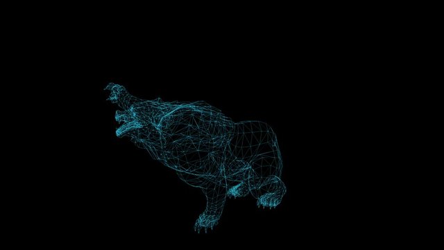 wire frame animation of bear attack on black background