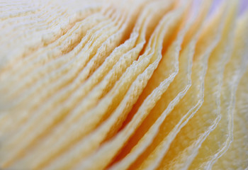 blurred color background with textured translucent napkins