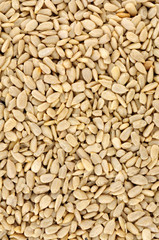 Protein rich sunflower seed kernel hearts background