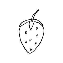 Isolated on white strawberry, Stock Illustration, vector, hand drawing, design element  for printing, scrapbooking, postcard