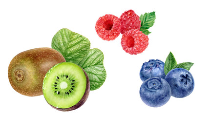 Kiwi fruit raspberry blueberry healthy eating set watercolor isolated on white background