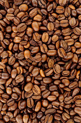 Aromatic fresh roasted coffee bean background texture