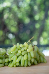 Fresh organic green grapes