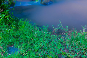 Fototapeta premium river flow there and there is green grass