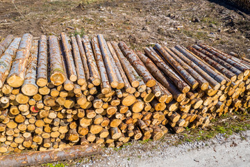 Aerial view of timber stacks at Bonny Glen in County Donegal - Ireland