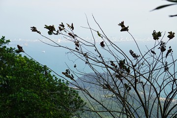 hai van pass between da nang and hue