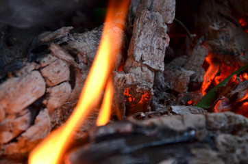 fire in the garden