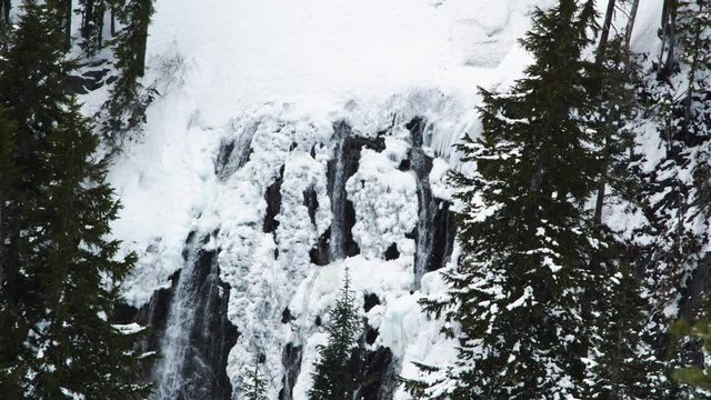 Snowy Narada Falls by Evergreen Trees in Mt Rainier National Park