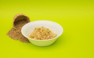 lentejas y germinado