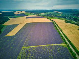 Aerial view of a landscape with lavender field