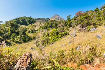 Fototapeta na wymiar Mountain of Doi Luang Chiang Dao natural park Landscape