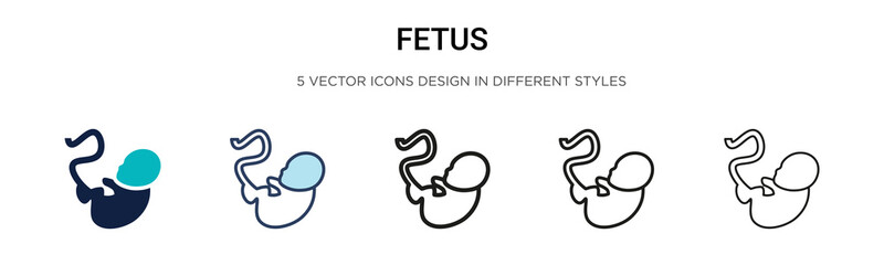 Fetus icon in filled, thin line, outline and stroke style. Vector illustration of two colored and black fetus vector icons designs can be used for mobile, ui, web