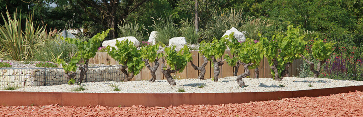 Gabion de galets dans un espace vert	