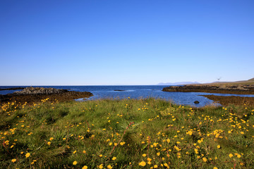 Vatnsnes / Iceland - August 27, 2017: The coast and the sea in Vatnsnes peninsula, Iceland, Europe