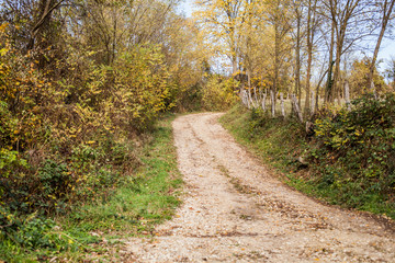 Rural dirt road nature landscape