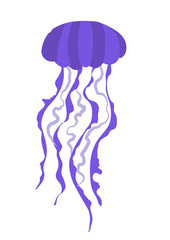 Fototapeta premium Purple midus with long flat style tentacles. Vectra clip art, sticker, nautical theme. Design underwater world and aquariums. Poisonous big jellyfish isolated on white background in cartoon style