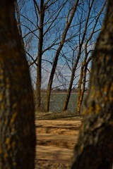 Forest lake on a windy spring day, Russia.