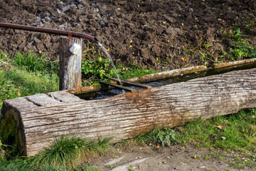 Traditional wooden trough - troughs for animals and humans, the concentration of pure water from...
