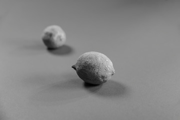 due limoni bianco e nero
