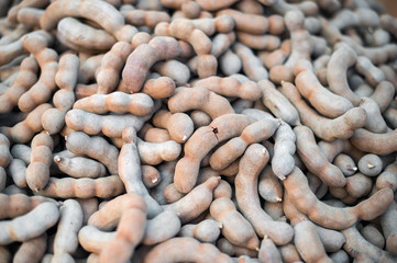 tamarind fruit pattern background