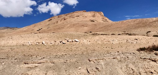 Breathe taking photos of Leh (Switzerland of India), Highest motorable road in the world. Pictures are clicked at an altitude of 17500ft above main sea level. Captured with love in my OnePlus 6.