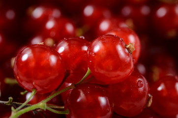 Red gooseberries basket, fruits background