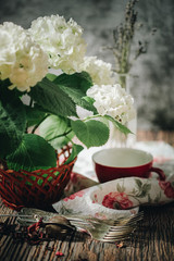 white hydrangea