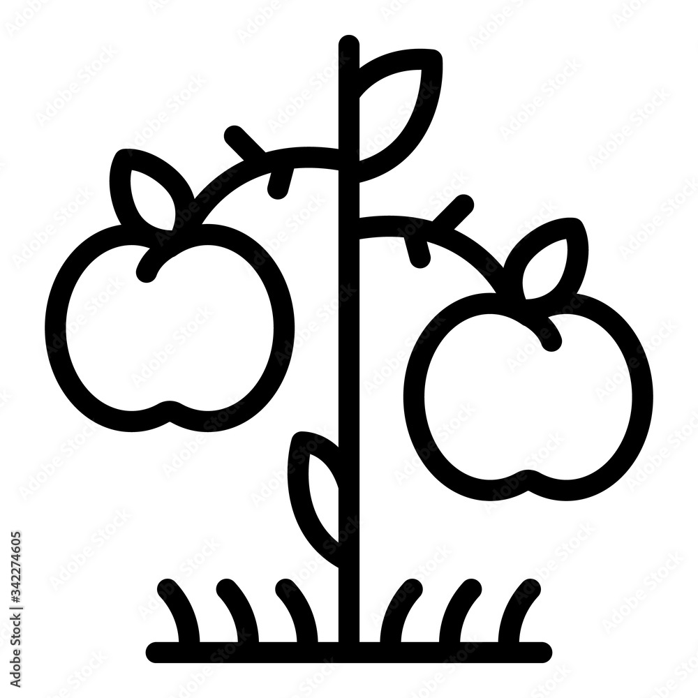 Poster apple tree producer icon. outline apple tree producer vector icon for web design isolated on white b