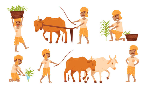 Indian Farmer Wearing Turban Cultivating Plants and Soil Yoking Oxen Vector  Set Stock Vector | Adobe Stock