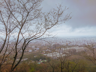 Clouded Nashik