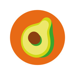 fresh avocado vegetable block and flat style icon