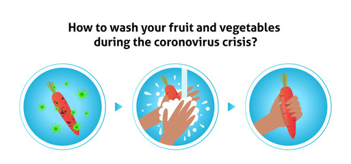 Wash fruits steps infographic. Hands holding apple under water tap. Arm in foam soap bubbles washing food. Vector illustration flat design. Hygiene, desinfection, washing vegetables.Antibacterial