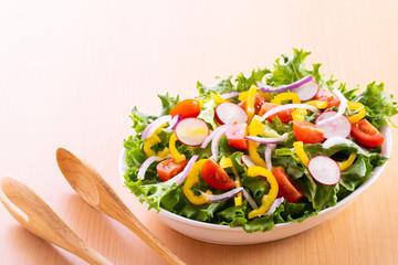 野菜サラダ